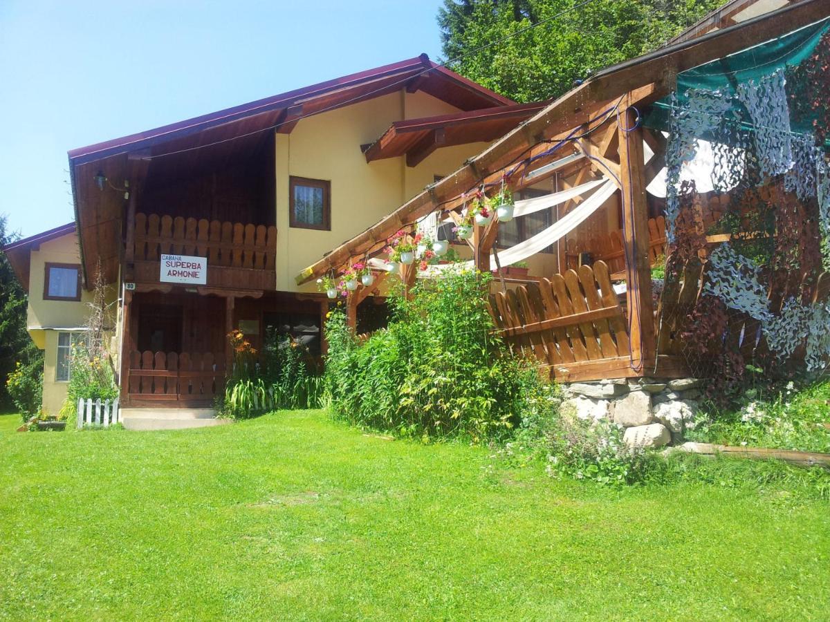 Cabana Suprema Armonie Dimbovicioara Luaran gambar