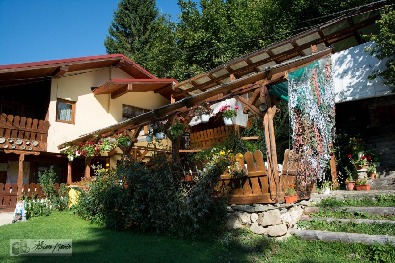 Cabana Suprema Armonie Dimbovicioara Luaran gambar